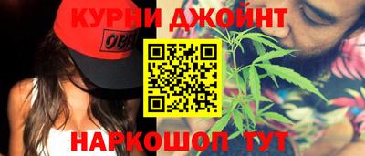 mdpv Гатчина