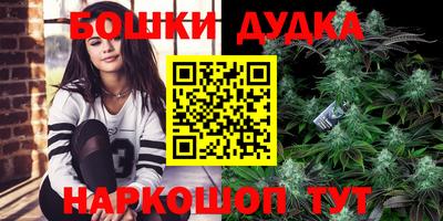mdpv Гатчина