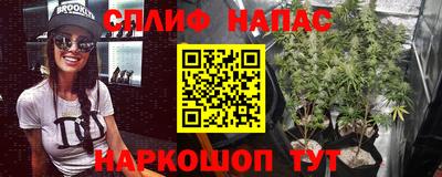 mdpv Гатчина