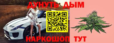 mdpv Гатчина