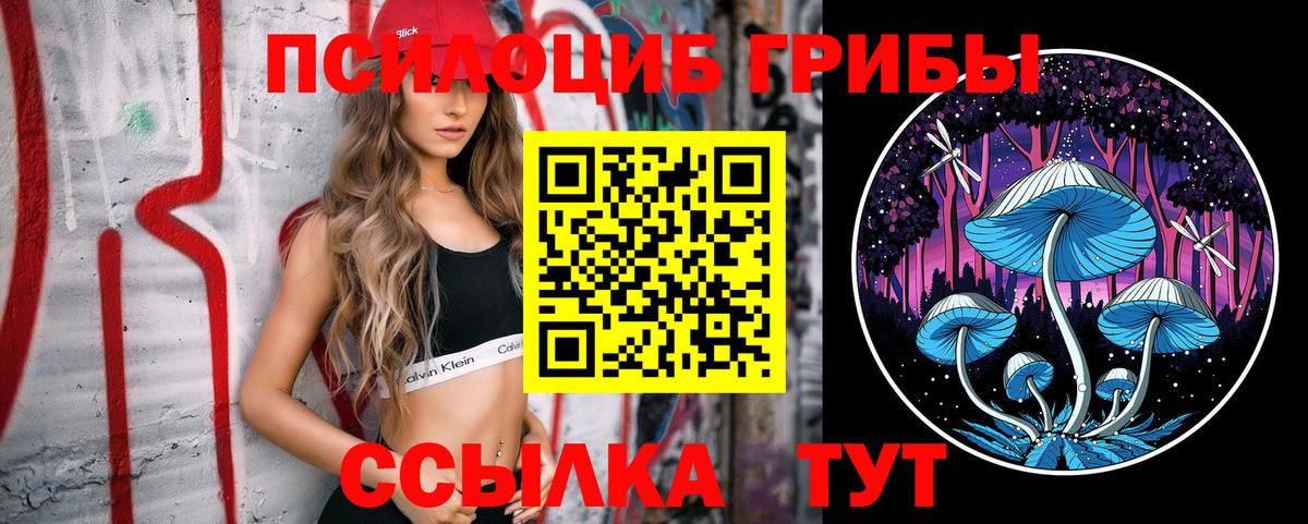 Псилоцибиновые грибы Psilocybine cubensis  Вход с VPN  Кисловодск  Псилоцибиновые грибы GOLDEN TEACHER 