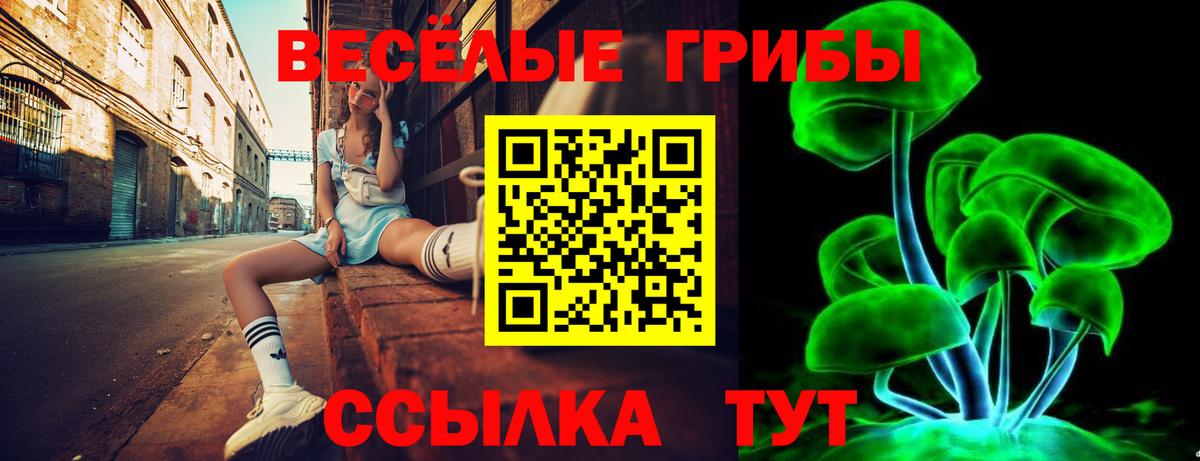 Псилоцибиновые грибы GOLDEN TEACHER  Кисловодск 